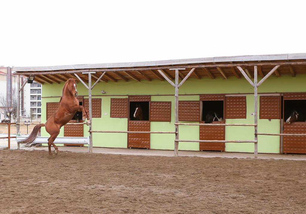 Afyon Can Termal Apart Afyonkarahisar エクステリア 写真