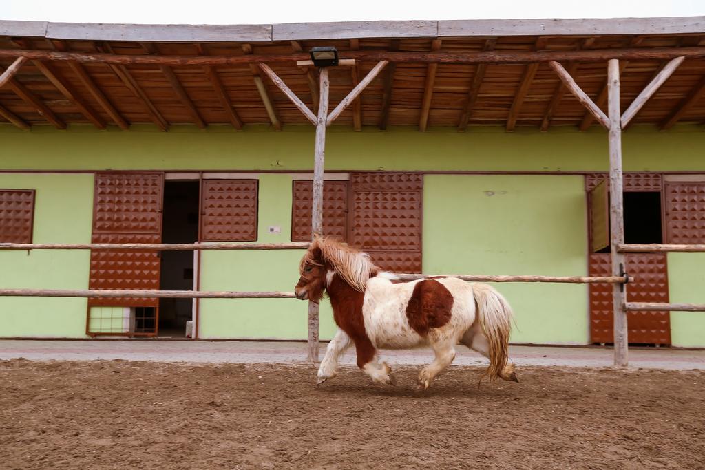 Afyon Can Termal Apart Afyonkarahisar エクステリア 写真